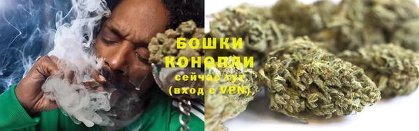 гидра Елизово