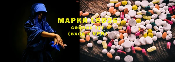 гидра Елизово