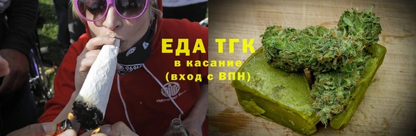 гидра Елизово