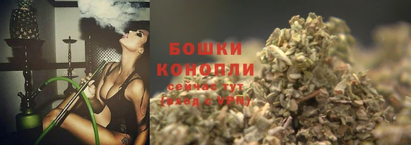 ешки Ельня
