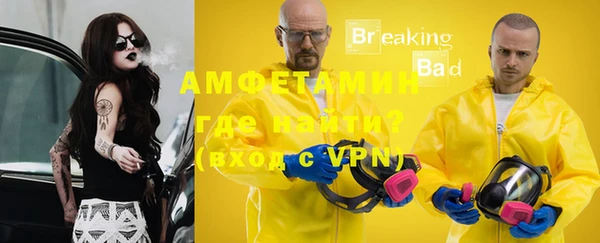 гидра Елизово