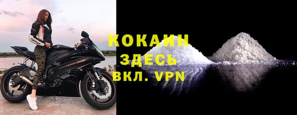 гидра Елизово