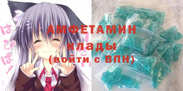 гидра Елизово