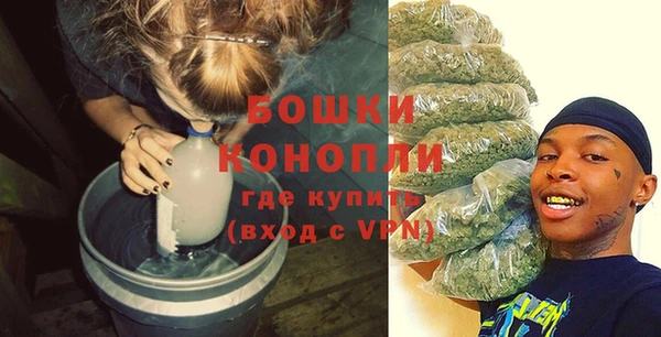 гидра Елизово