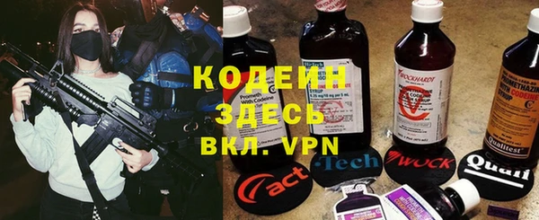 гидра Елизово