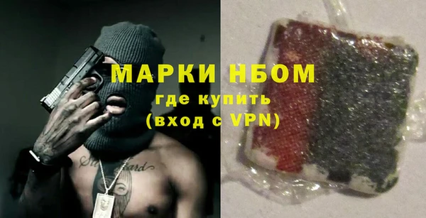 гидра Елизово
