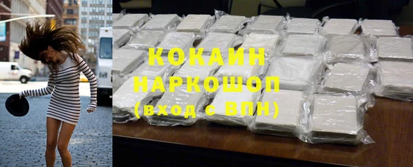 гидра Елизово