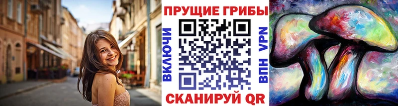 Купить  Динская  Псилоцибиновые грибы прущие грибы 